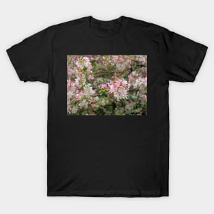 Cherry Blossom flowers white and pink closeup T-Shirt